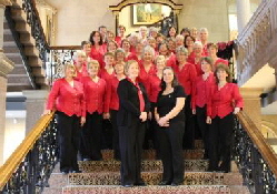 medium_AMUSICALCOCKTAIL medium_AMUSICALCOCKTAIL